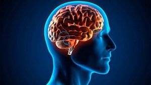 CUANDO EL CEREBRO NOS IMPIDE SER RAZONABLES